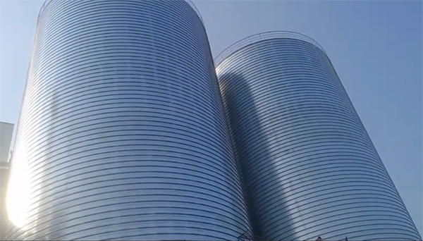 常山2座混凝土高架卷板仓